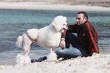 ADULTE ET CHIEN 121
